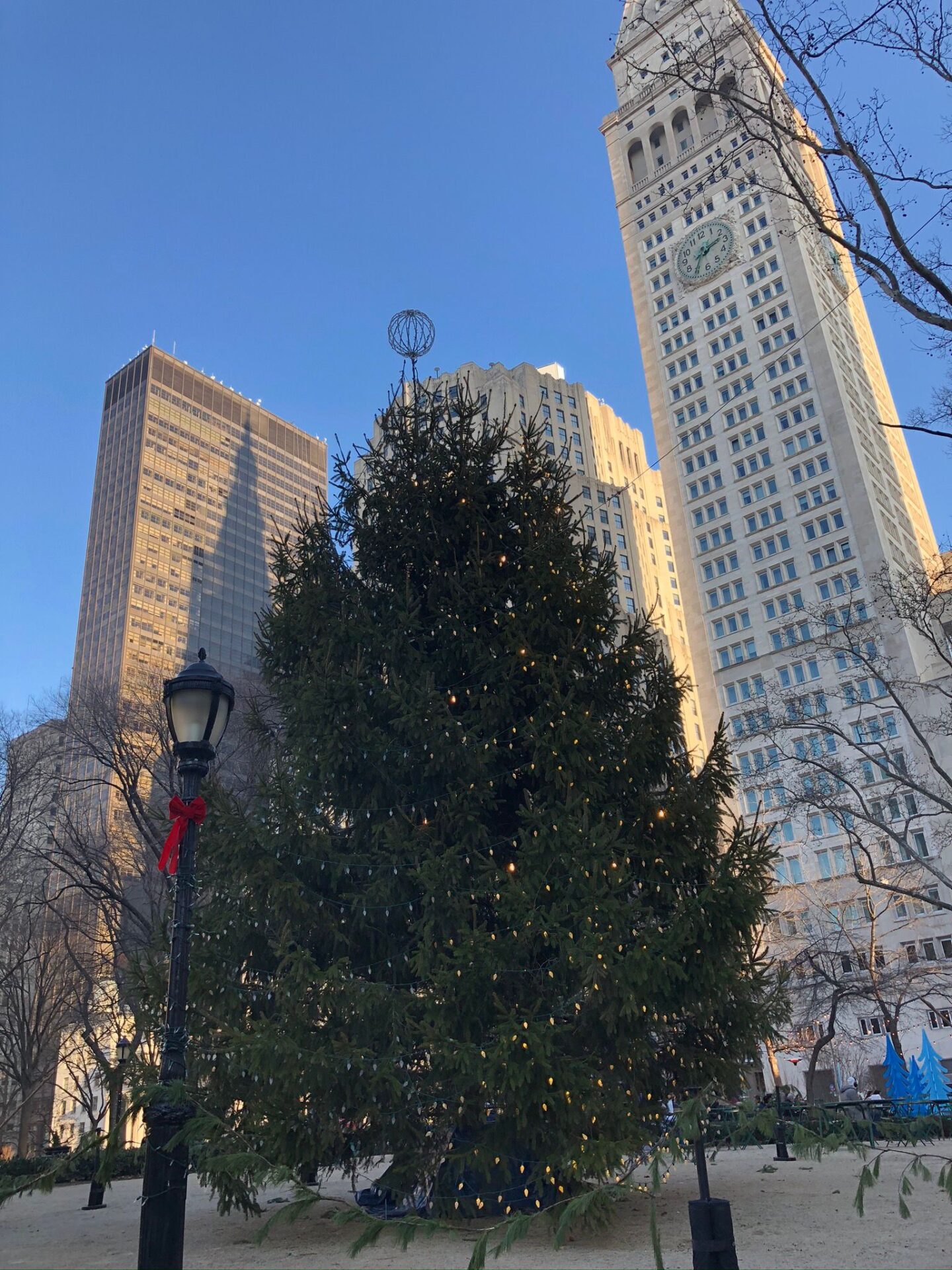 Took a photo in our neighborhood of Christmas Tree in Madison Square Park.