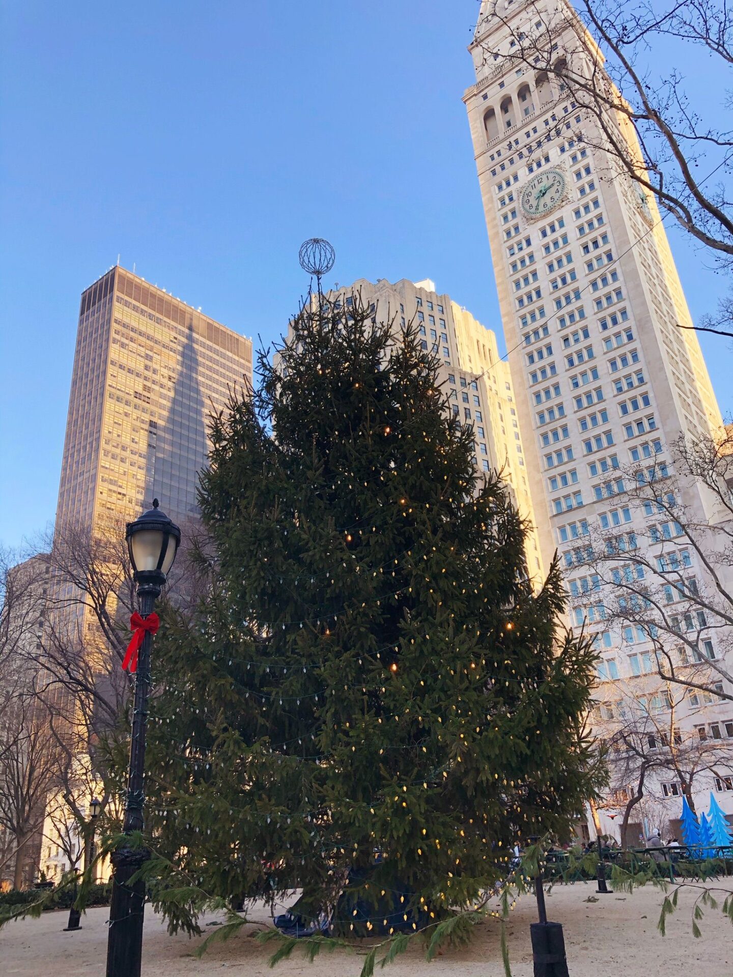 We love celebrating Christmas in the Flatiron District. This is a Christmas tree in Madison Square Park.