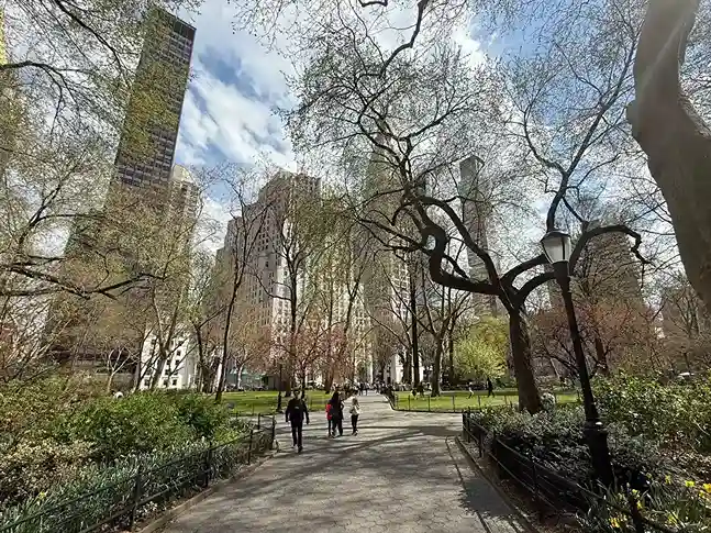 New York City Weather in January: Views in Madison Square Park.