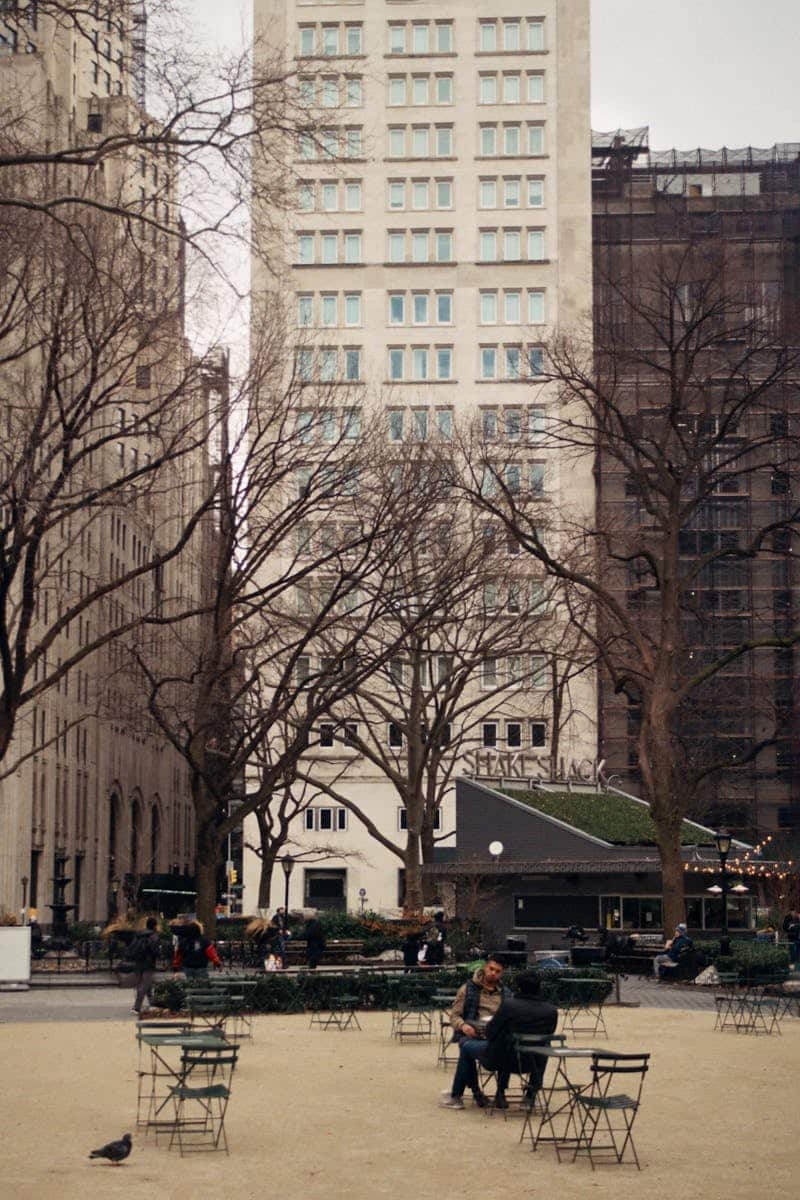 Exterior of cafeteria in square with street area surrounded by tall leafless trees and multistory buildings