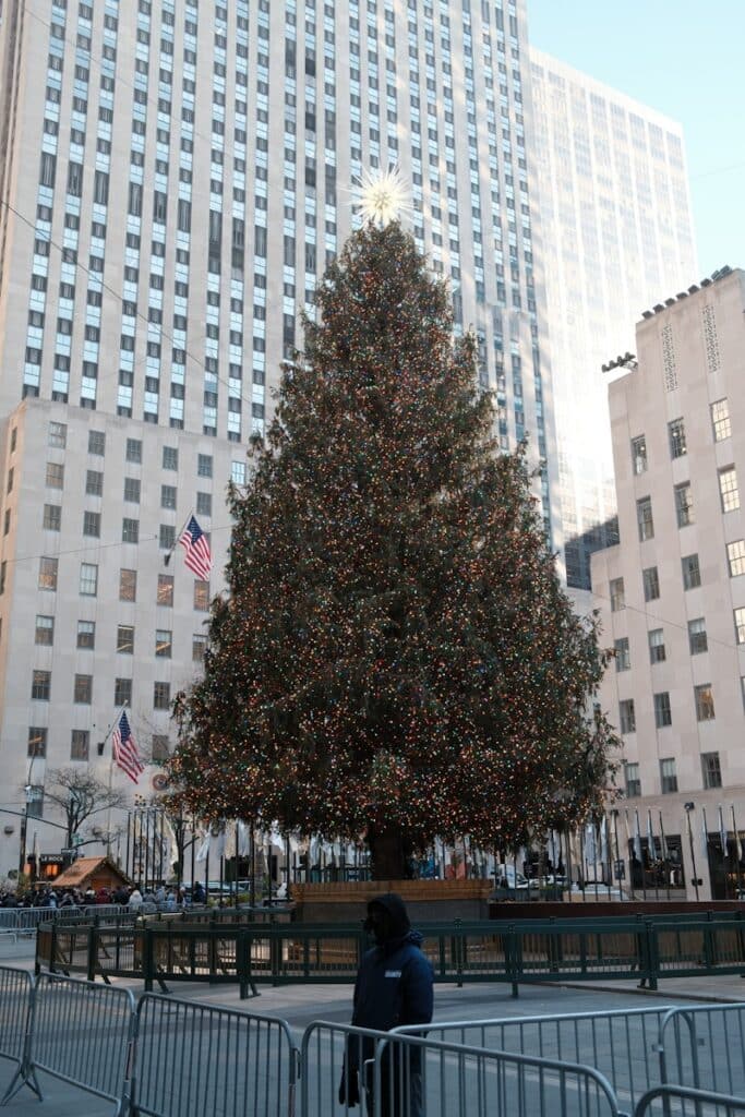 A large christmas tree in the middle of a city