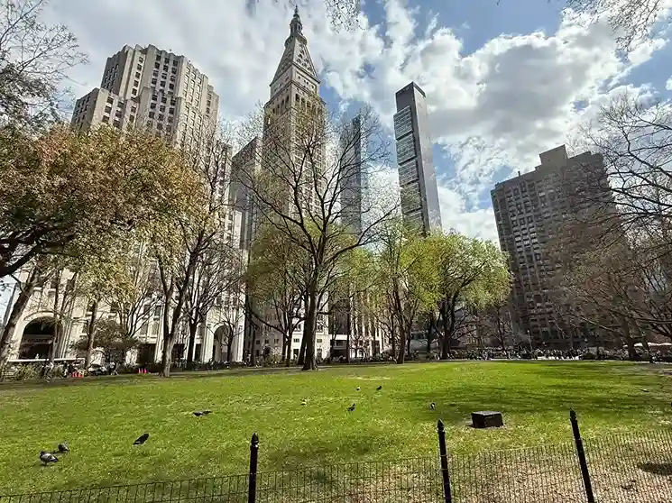New York City Weather: Flatiron District Madison Square Park NYC Clocktower View