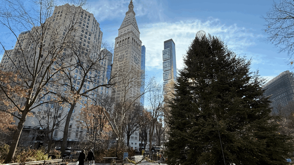 Eco Friendly Hotels Near Flatiron: Views from Madison Sqare Park where I live by.