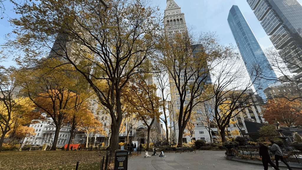 Madison Square Park: hotels near Union Square Flatiron are plentiful just a few blocks up by my park.