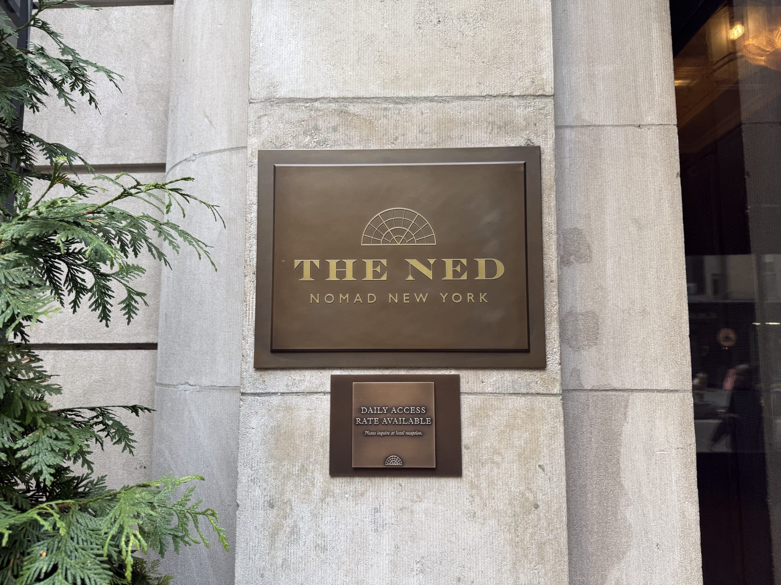 The Ned Nomad