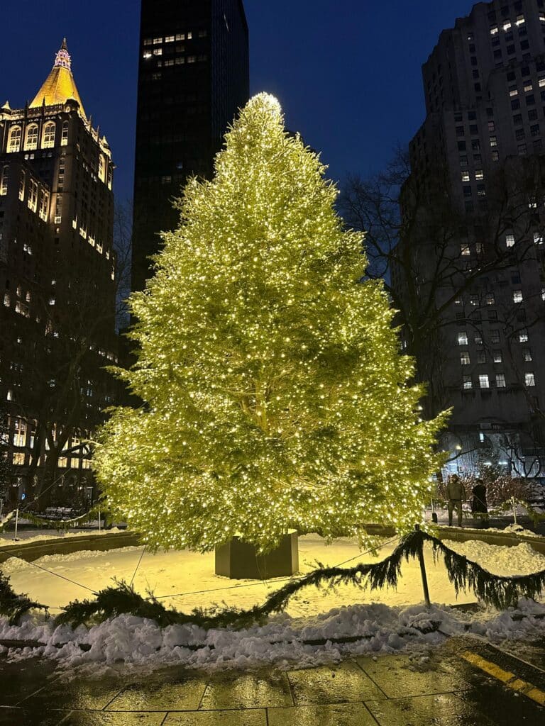Christmas tree glowing at night in Madison Square Park, Flatiron District, New York City